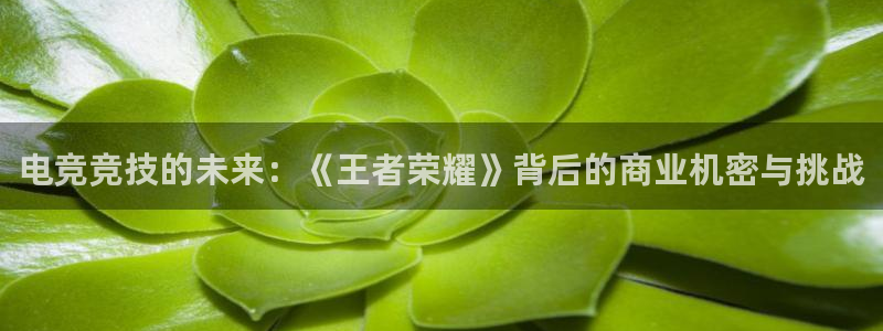 电竞竞技的未来：《王者荣耀》背后的商业机密与挑战