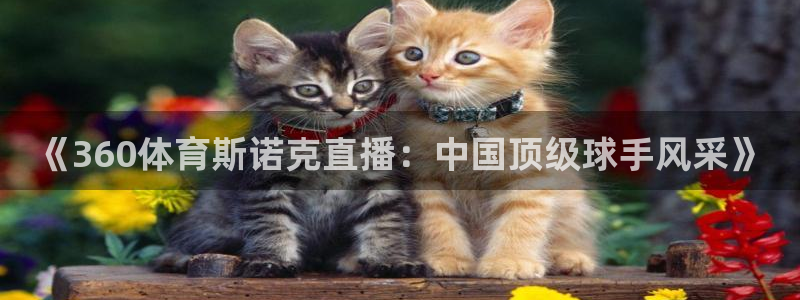 《360体育斯诺克直播：中国顶级球手风采》